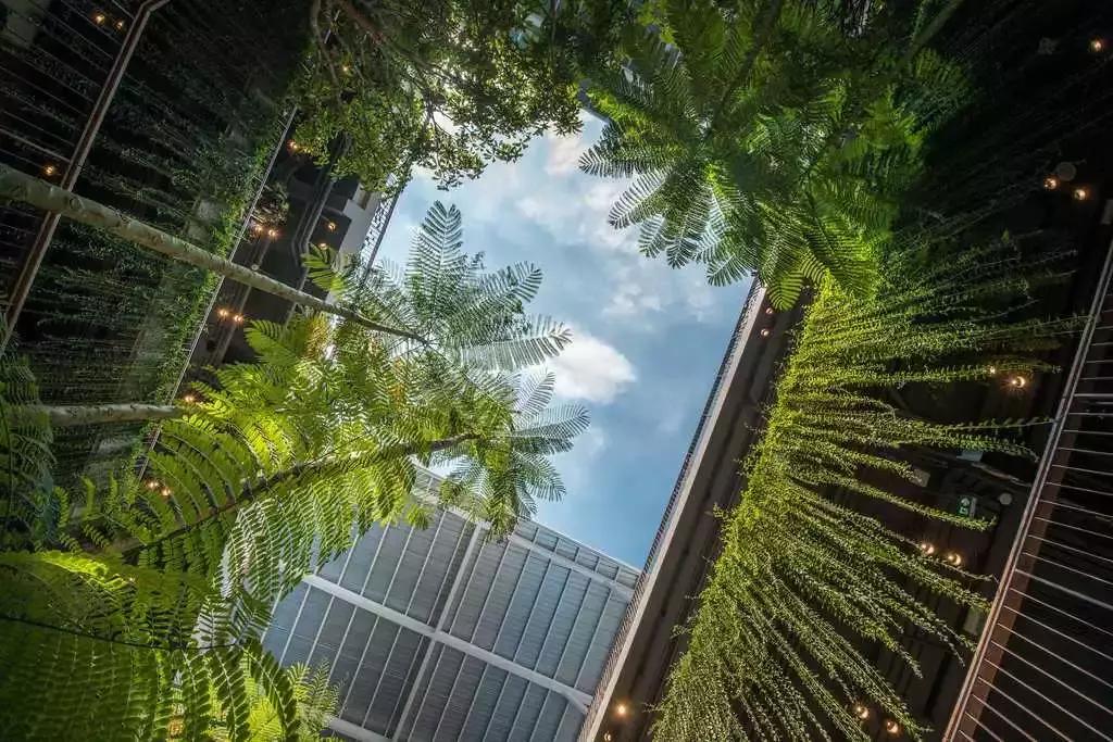 商业街景观设计提升方案,商业街网红景观设计