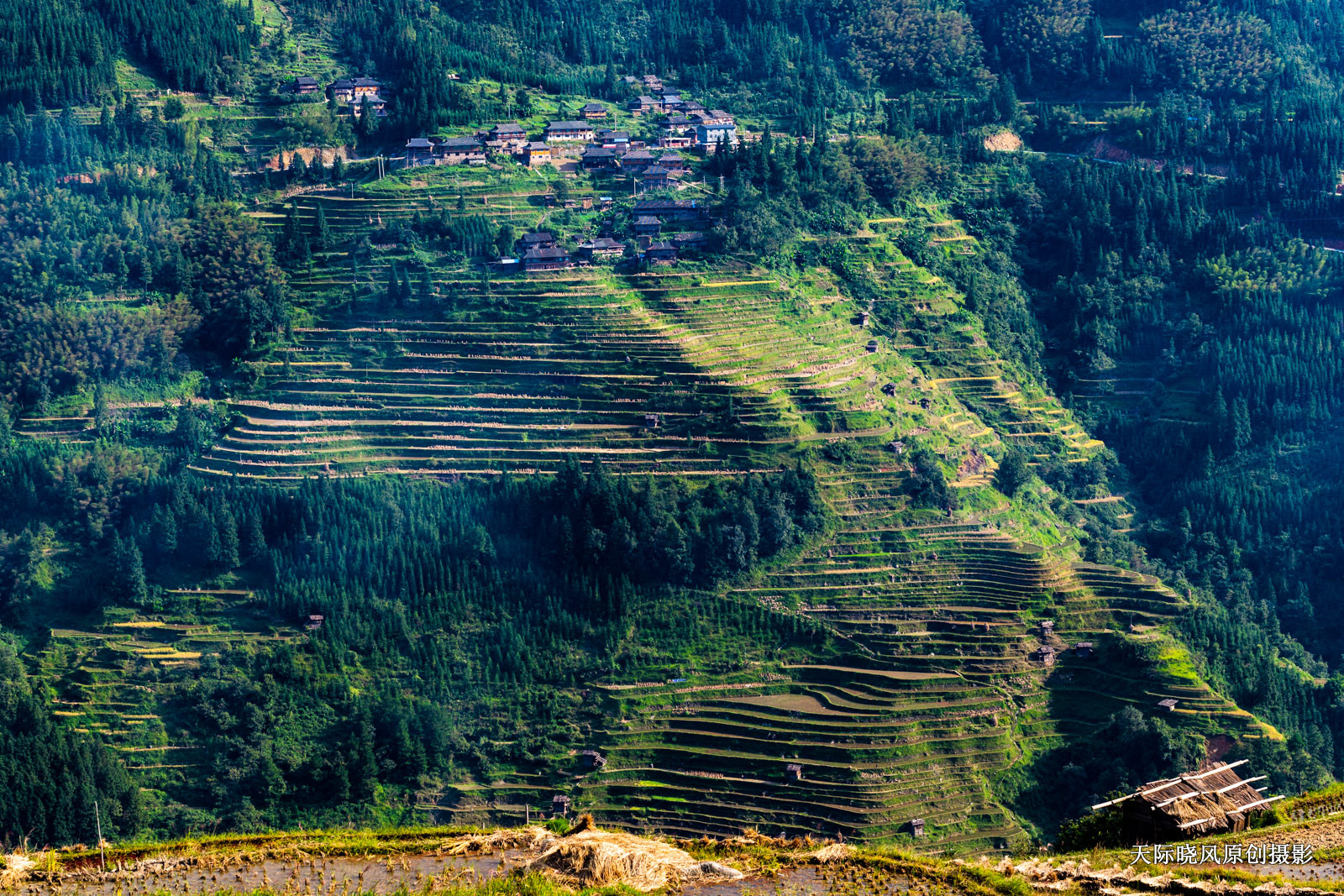 贵州加榜梯田简介,加榜梯田苗族完整版