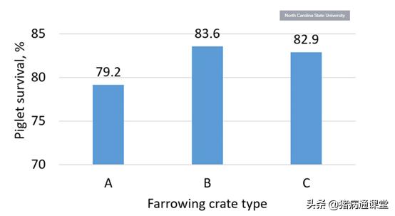 母猪产床对仔猪有影响吗,母猪提前上产床对仔猪有影响吗