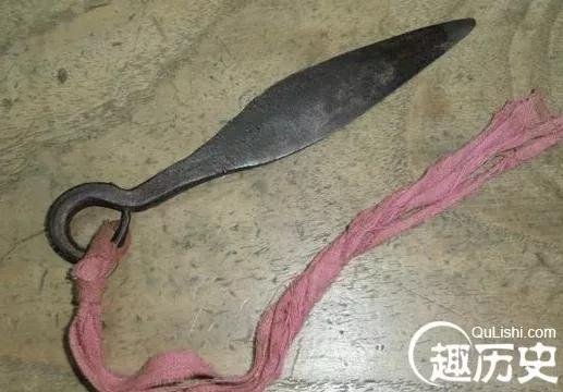 票字家族:骠、镖、标(標)、鳔、膘,鱼儿之所以能在水里沉浮