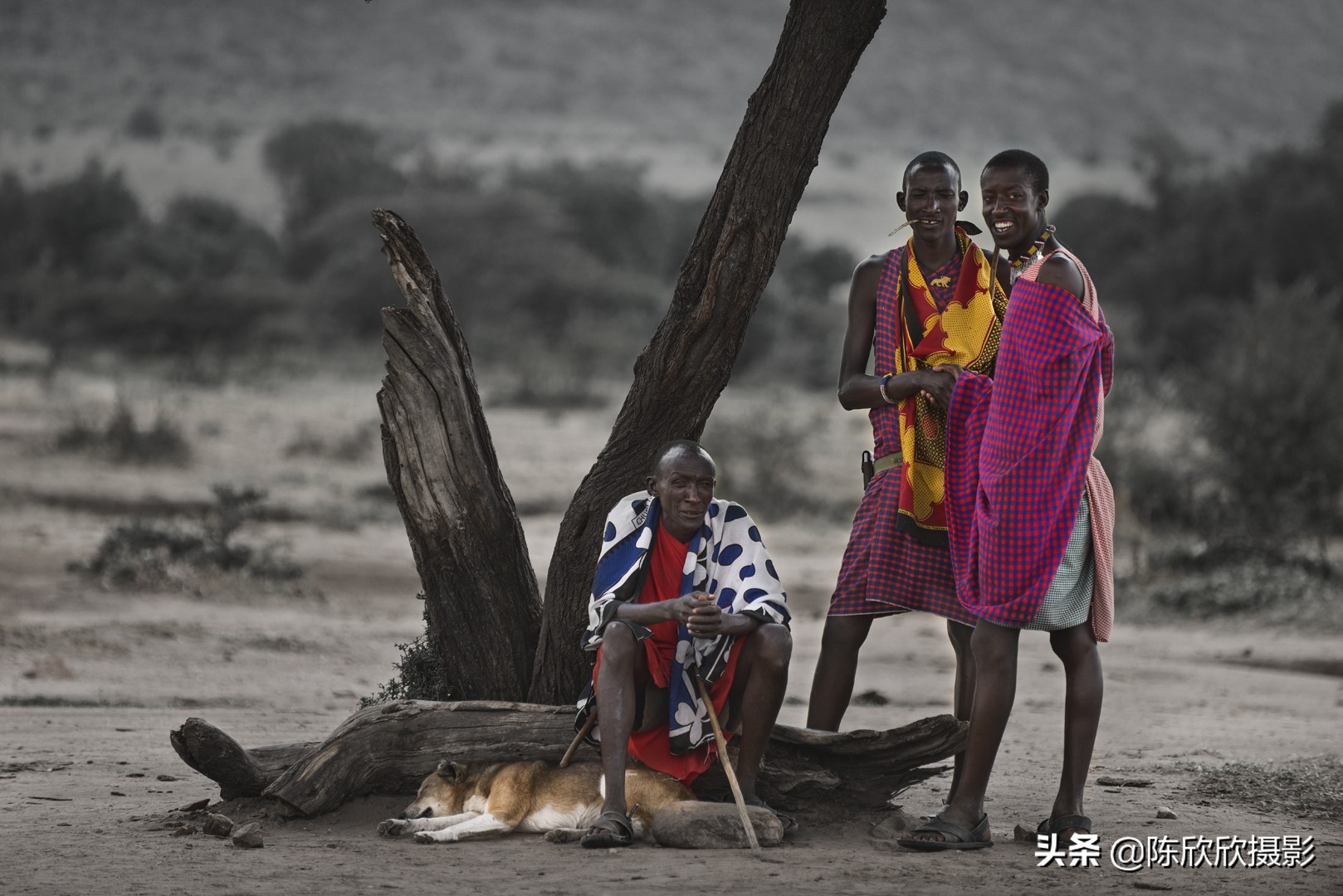 如果让你做一天上帝你会干什么,如果让你做一天菩萨你会怎么做