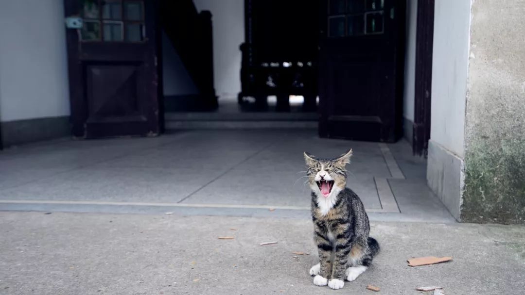 南京历史感沉重的古都,烟水南京