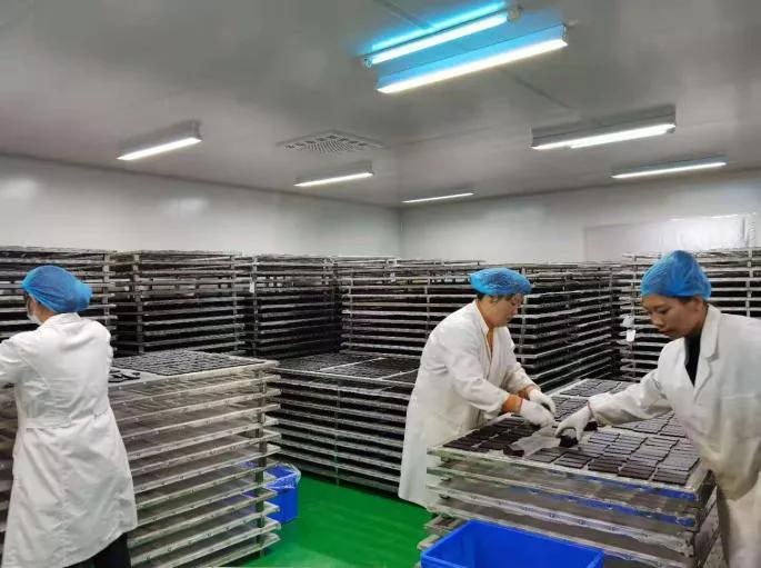 华北平原有什么农业资源,华北平原重要的农耕区