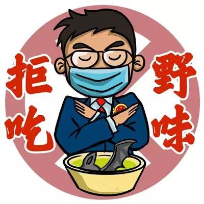 哪些野生动物不能吃？野生动物名录了解一下