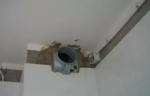 为啥自家没做饭却满厨房油烟,没有做饭厨房有油烟味怎么办