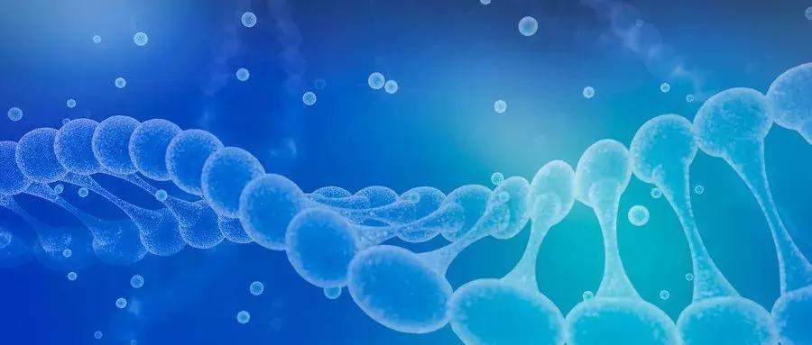 ppt时间轴制作高级感,ppt时间轴创意模板教学