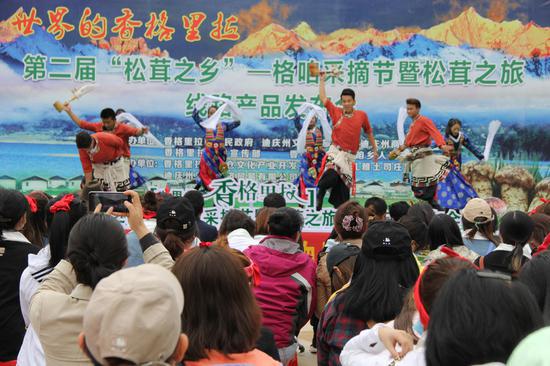 松茸的乡村振兴模式,保护松茸资源助推乡村振兴