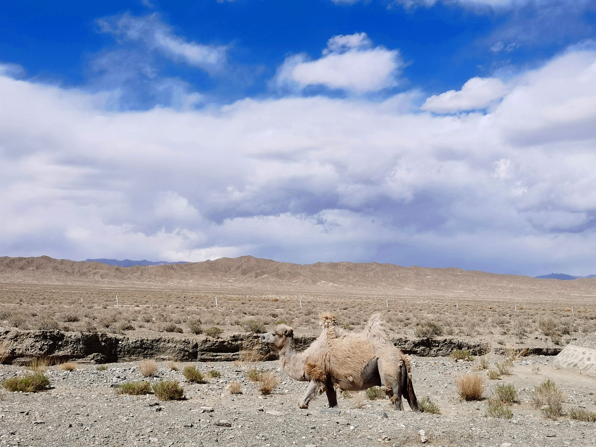 吉乃尔湖青海版马尔代夫,东台市马尔代夫