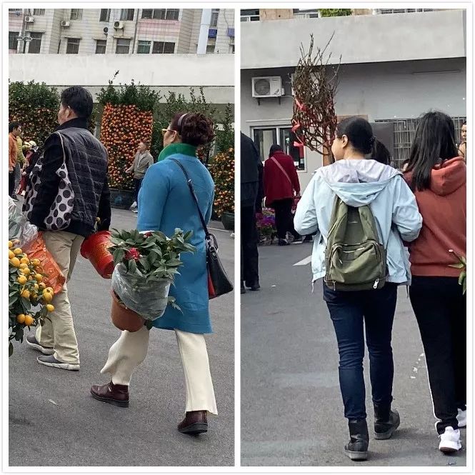 肇庆各区花市,2020肇庆市花市图片