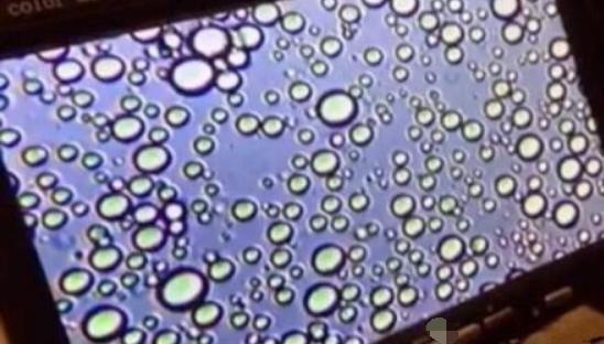 一滴母乳等于十滴血是这样吗,母乳放大100倍原来真的是血做的