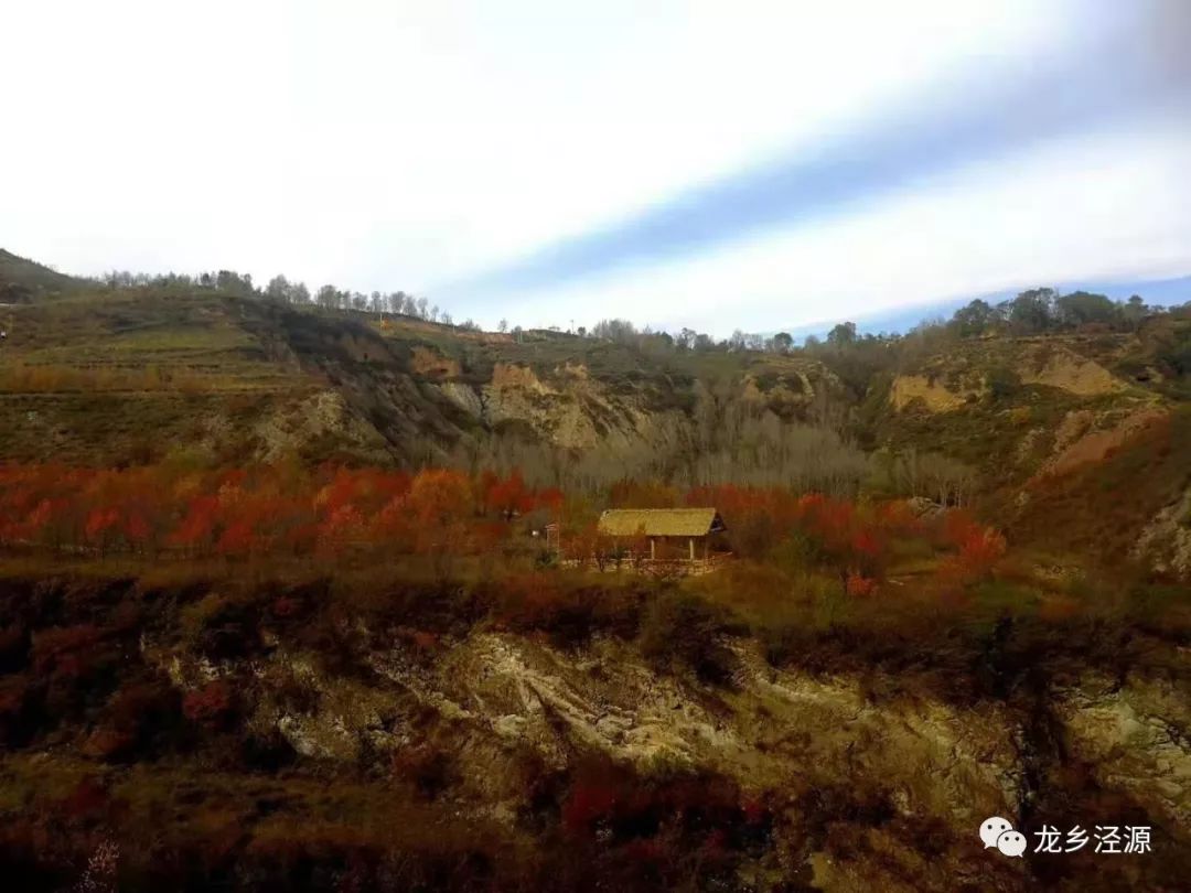 泾源秋天美景图片,泾源最美景色