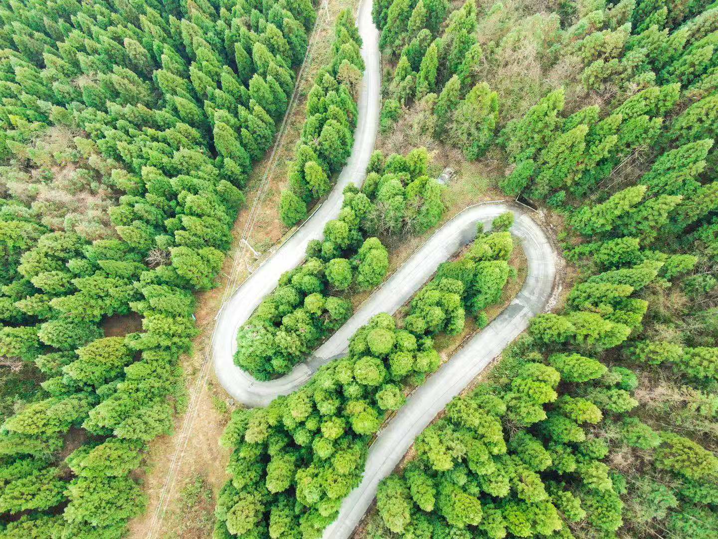 恩施坪坝营国家森林公园视频,咸丰坪坝营国家森林公园