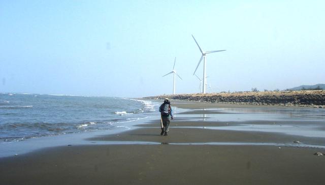 关于螃蟹科普知识,螃蟹科普