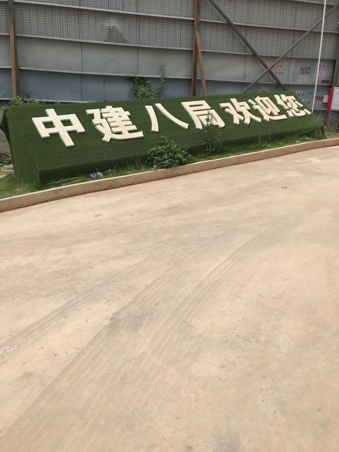 珠海市白蚁灭治服务,珠海市白蚁消杀技术