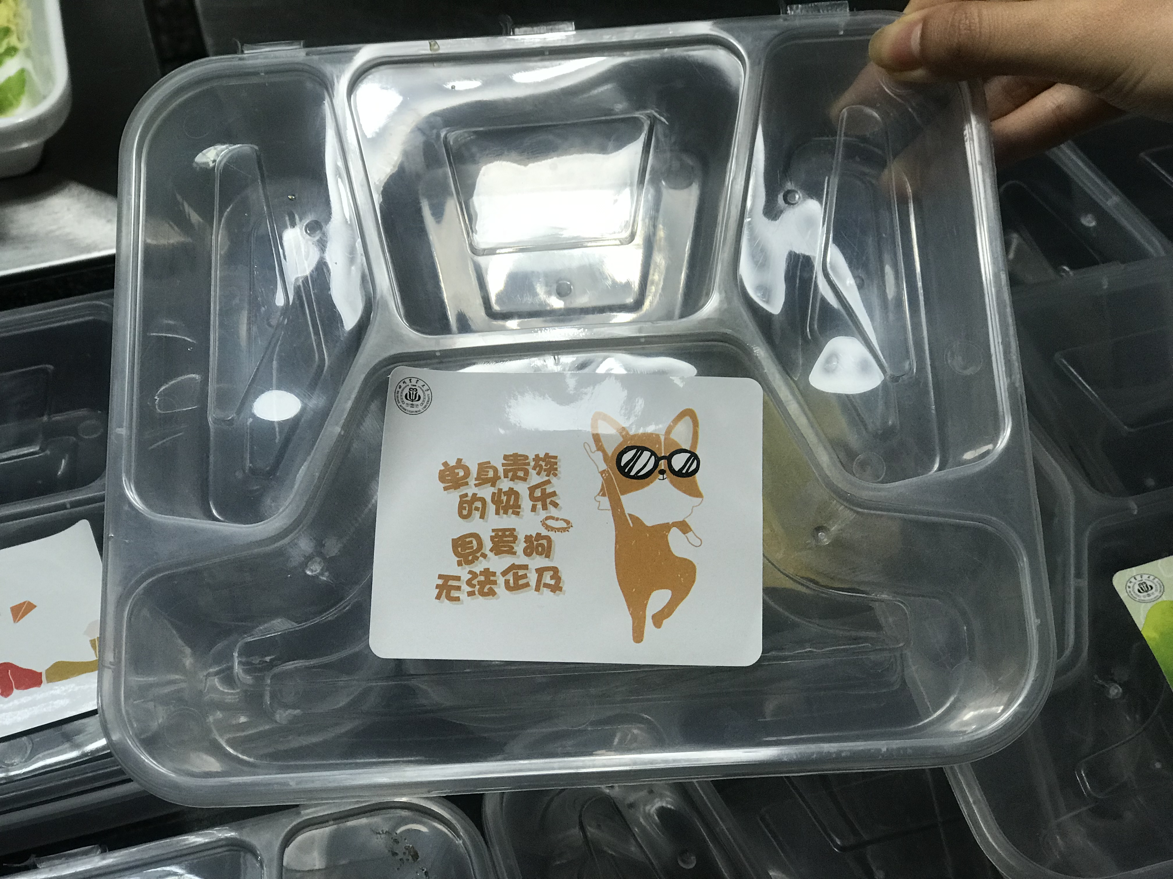 四川农业大学推出“单身毕业套餐”:价格8.8元半小时卖光