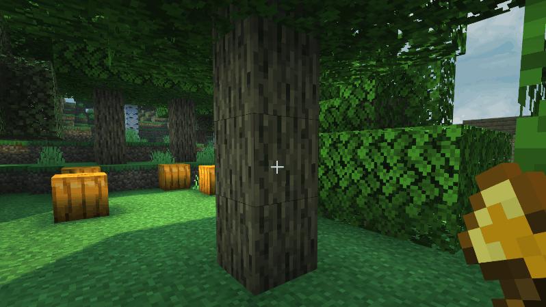 高质量的生活必须要有健康的身体,高品质生活礼物