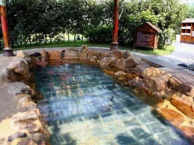 清远森波拉温泉晚餐,清远森波拉温泉度假村酒店报价