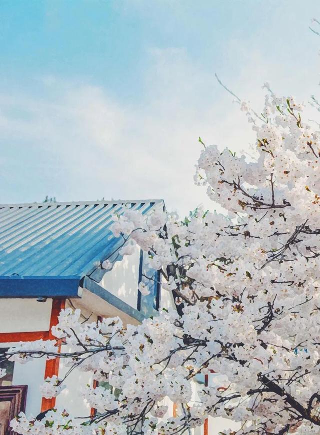 突然就想去旅游了,忽然间就想去厦门了