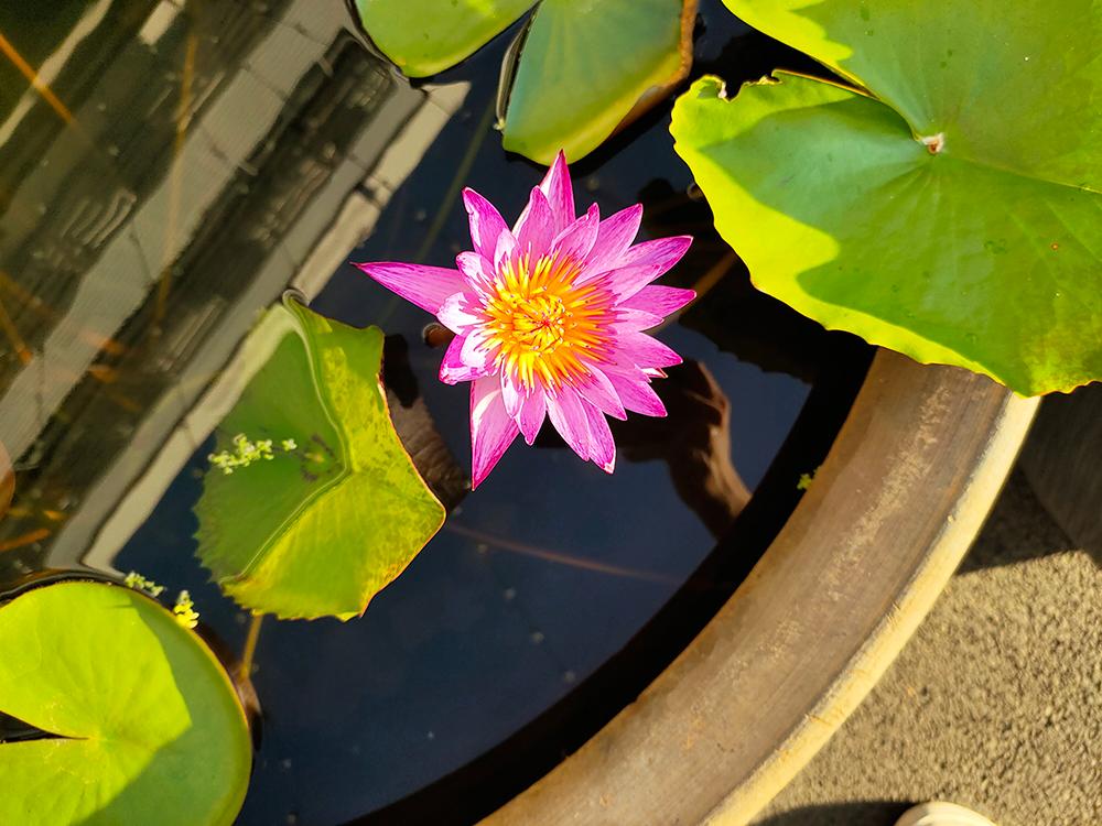 iqoo3值得入手吗二手手机,iqoo3二手手机