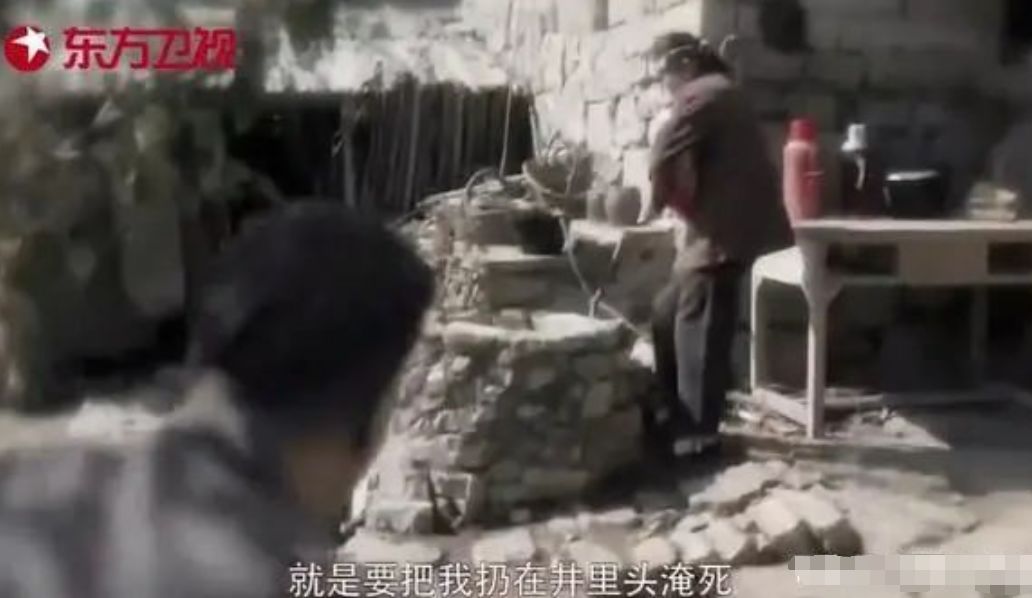 香江美人传奇李嘉欣,香江美人传奇洪欣