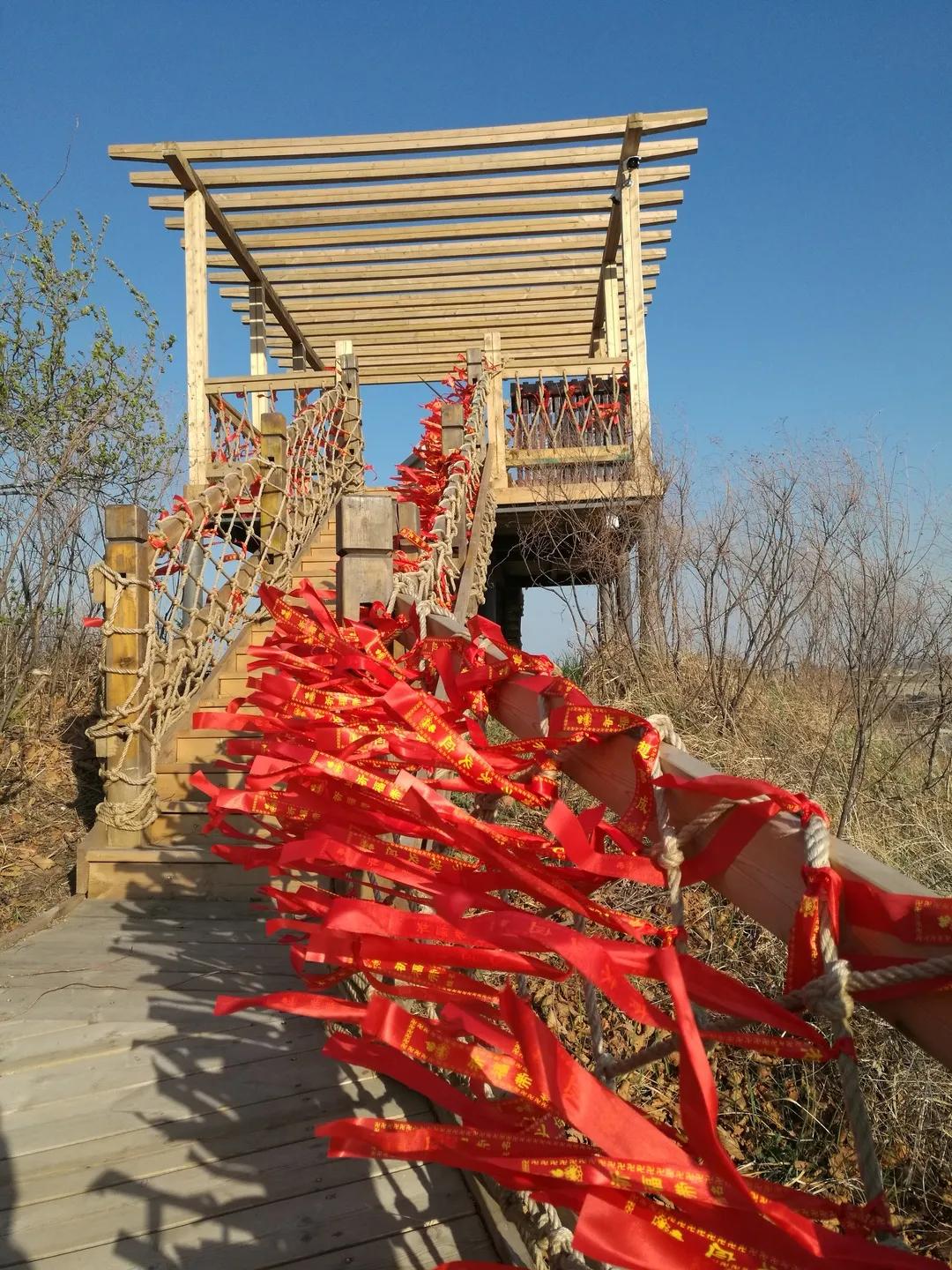 醉花海古镇美景,醉舞花海