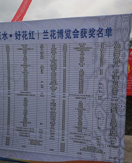 惠水第29届兰博会兰花获奖图片,惠水国际兰花展