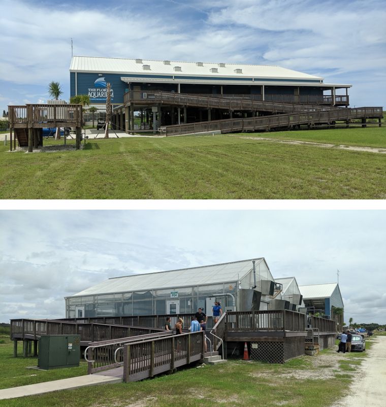 人工圈养珊瑚首次产卵，美国佛罗里达州柱状珊瑚的最后一丝希望