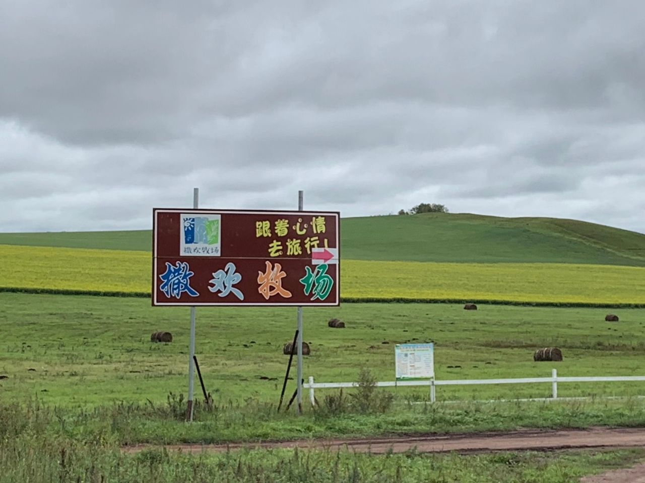 盛夏之旅美丽呼伦贝尔 (呼伦贝尔金秋之旅)