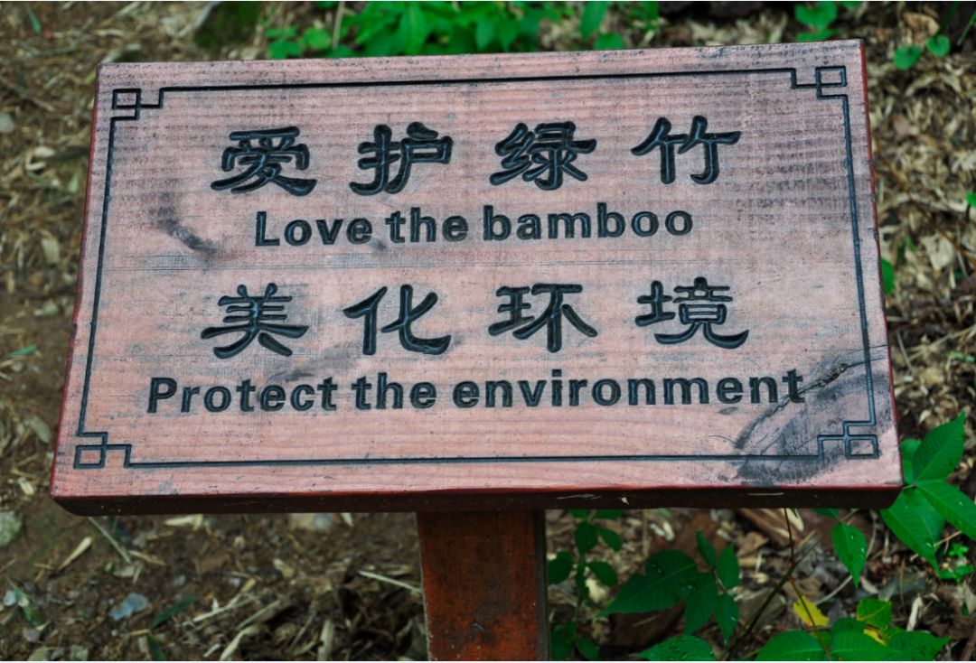 瀹滃叴绔规捣璇︾粏鏀荤暐,瀹滃叴绔规捣娓稿鏀荤暐