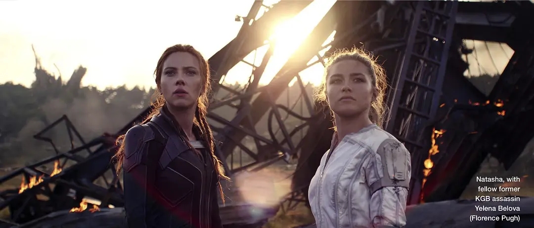 黑寡妇十大经典电影,黑寡妇最值得看的电影