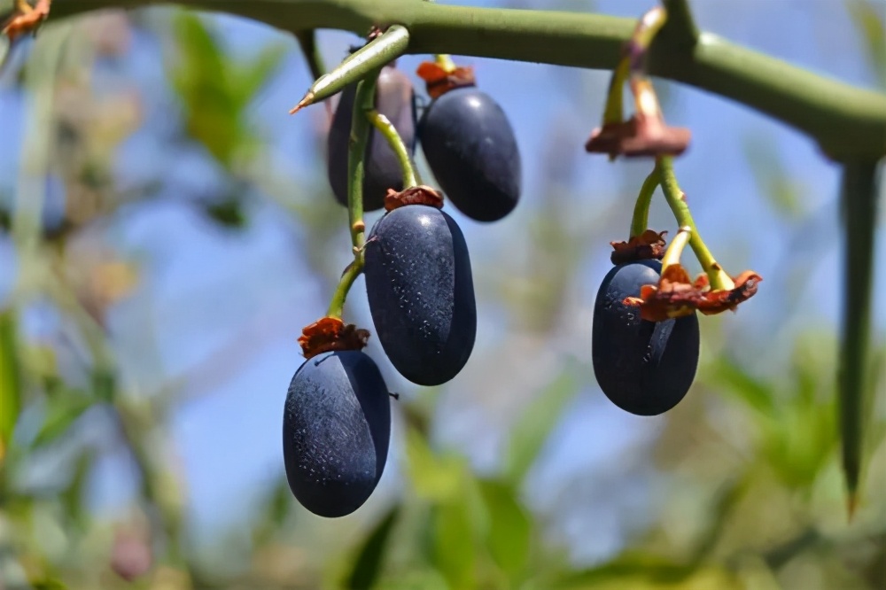 国货化妆品好不好用,国货化妆品营销