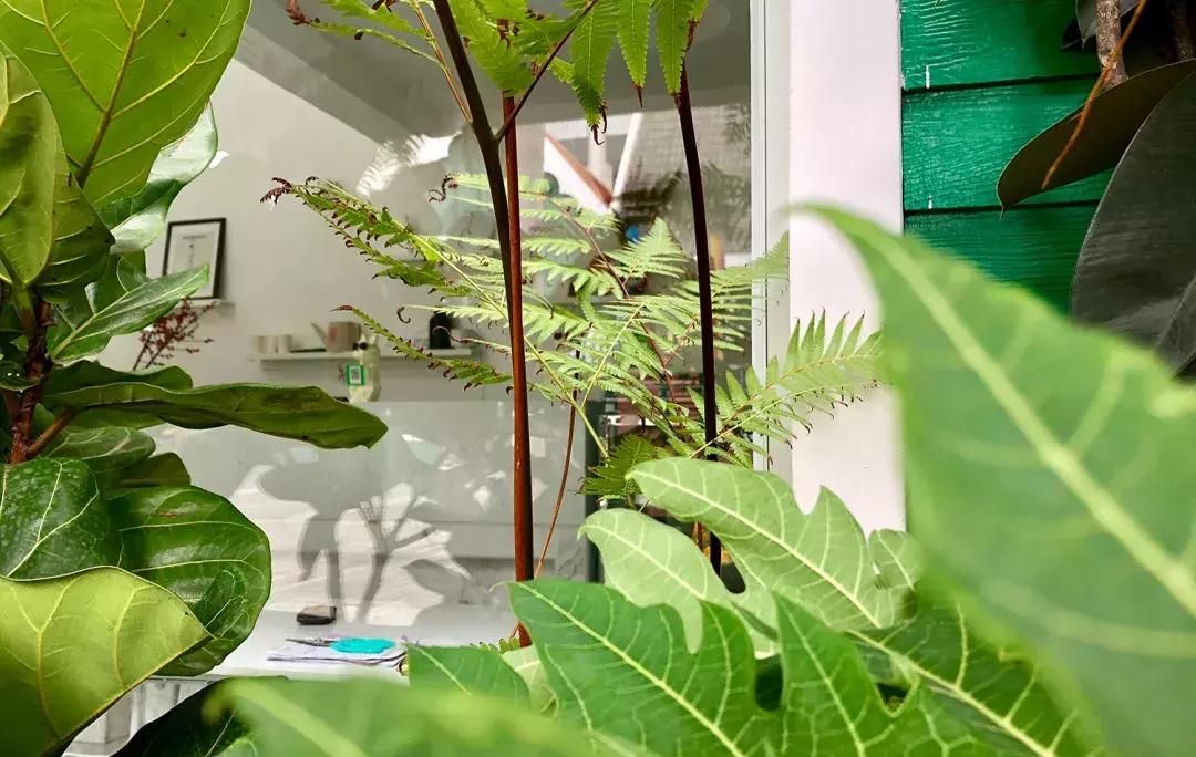 走进南头,这里是中山