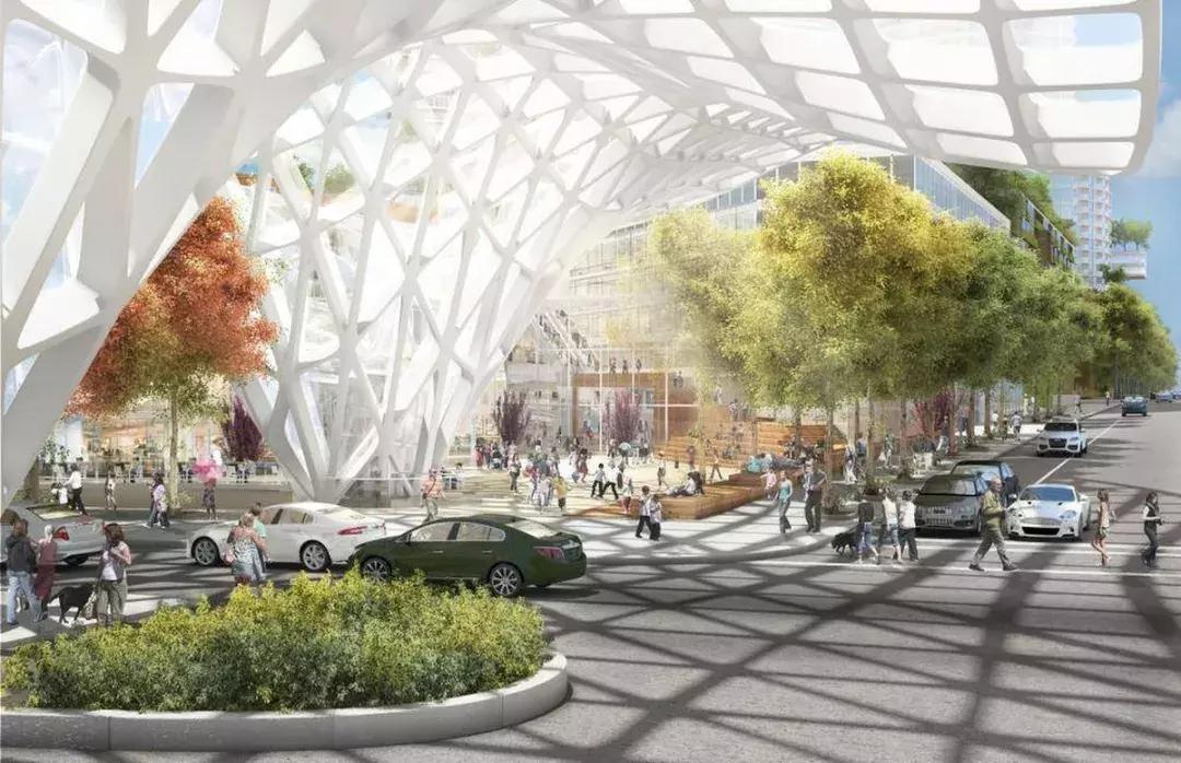 加拿大顶尖学校,加拿大最高教育机构