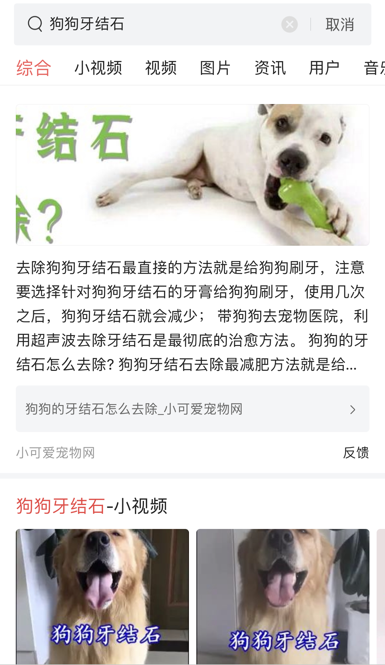 狗狗得了牙结石,狗狗得牙结石会有什么危害