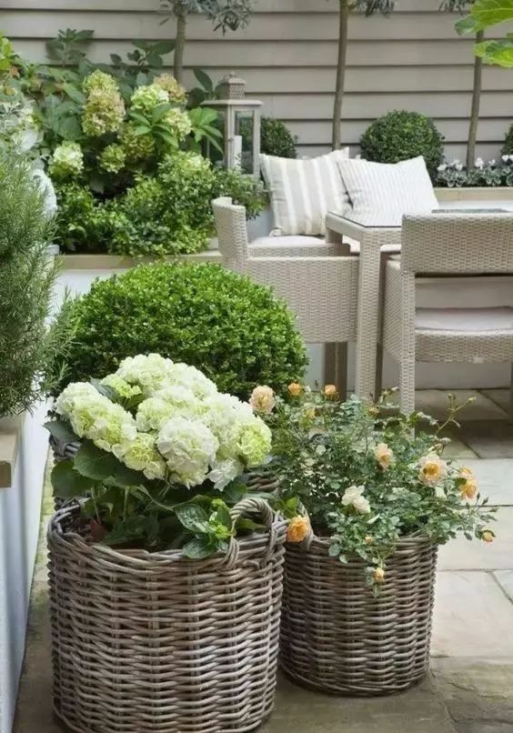 阳台变身小花园总有一款适合你,阳台可以打造成小花园吗