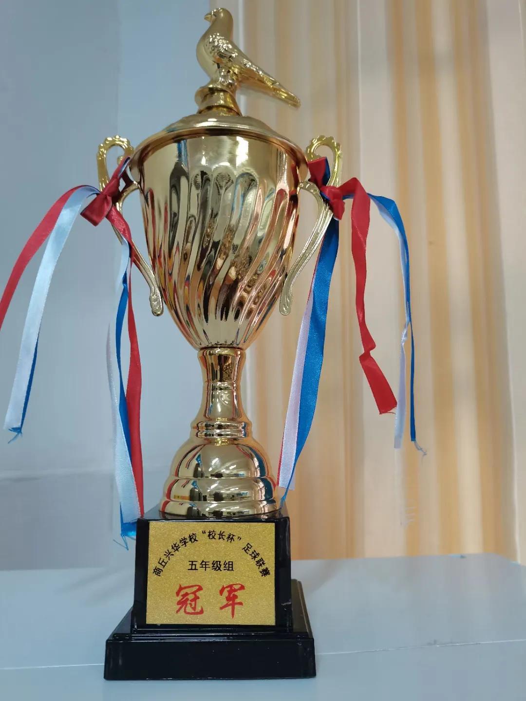 商丘市工学院附属兴华学校六年级,商丘兴华学校2024毕业班优秀学生