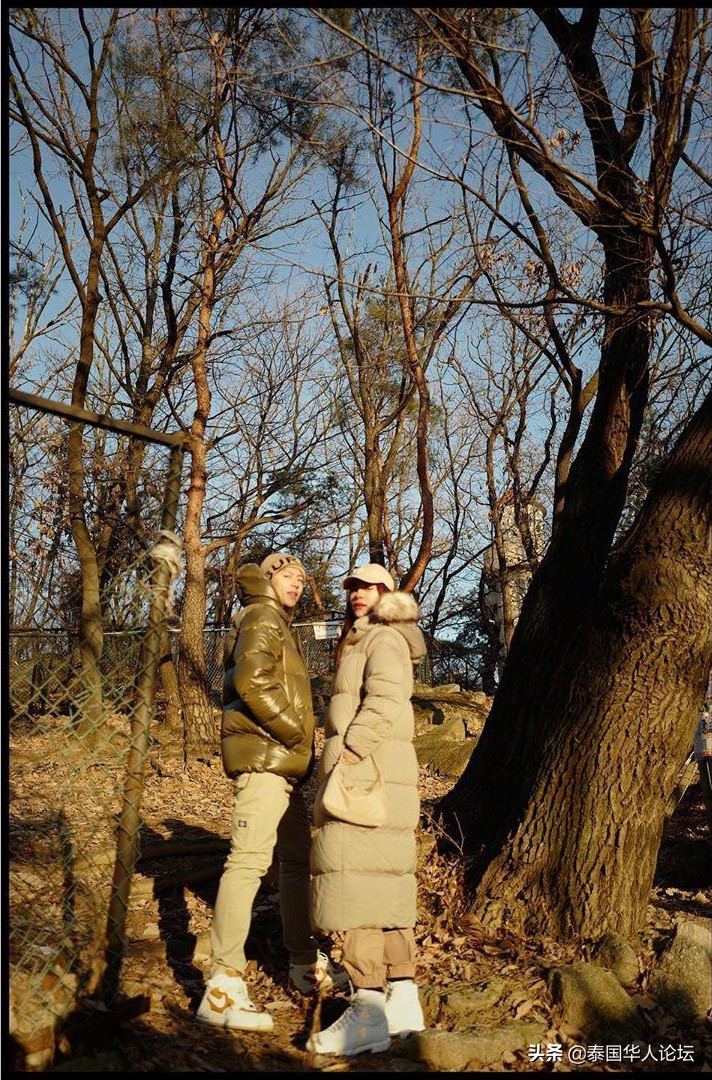 mk最好的配装 (比乐狗粮mk系列)