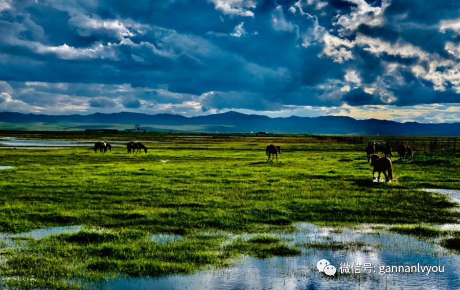 甘南旅游攻略超详细,甘肃甘南不自驾游3天攻略