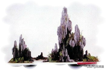 丛林式盆景欣赏,盆景欣赏及制作