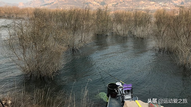 窝里有鱼却不咬钩是怎么回事,窝里有鱼但不咬钩怎么回事