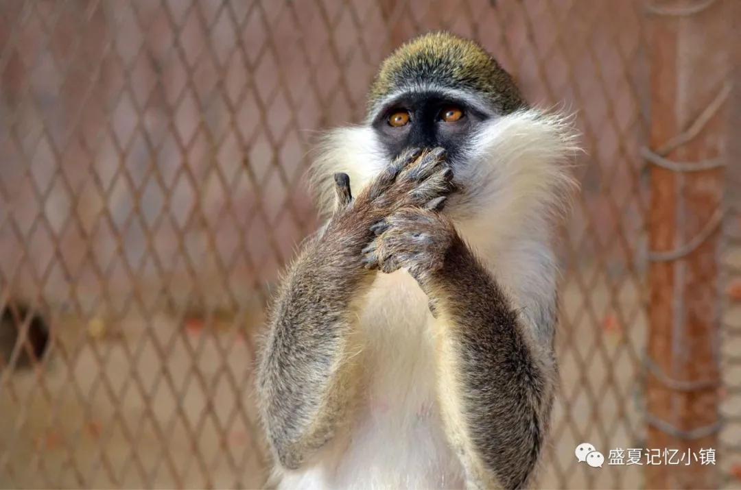 一分钟了解十二星座,一秒记住十二星座