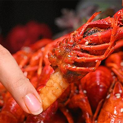 巴掌大小龙虾,深夜爆香小龙虾
