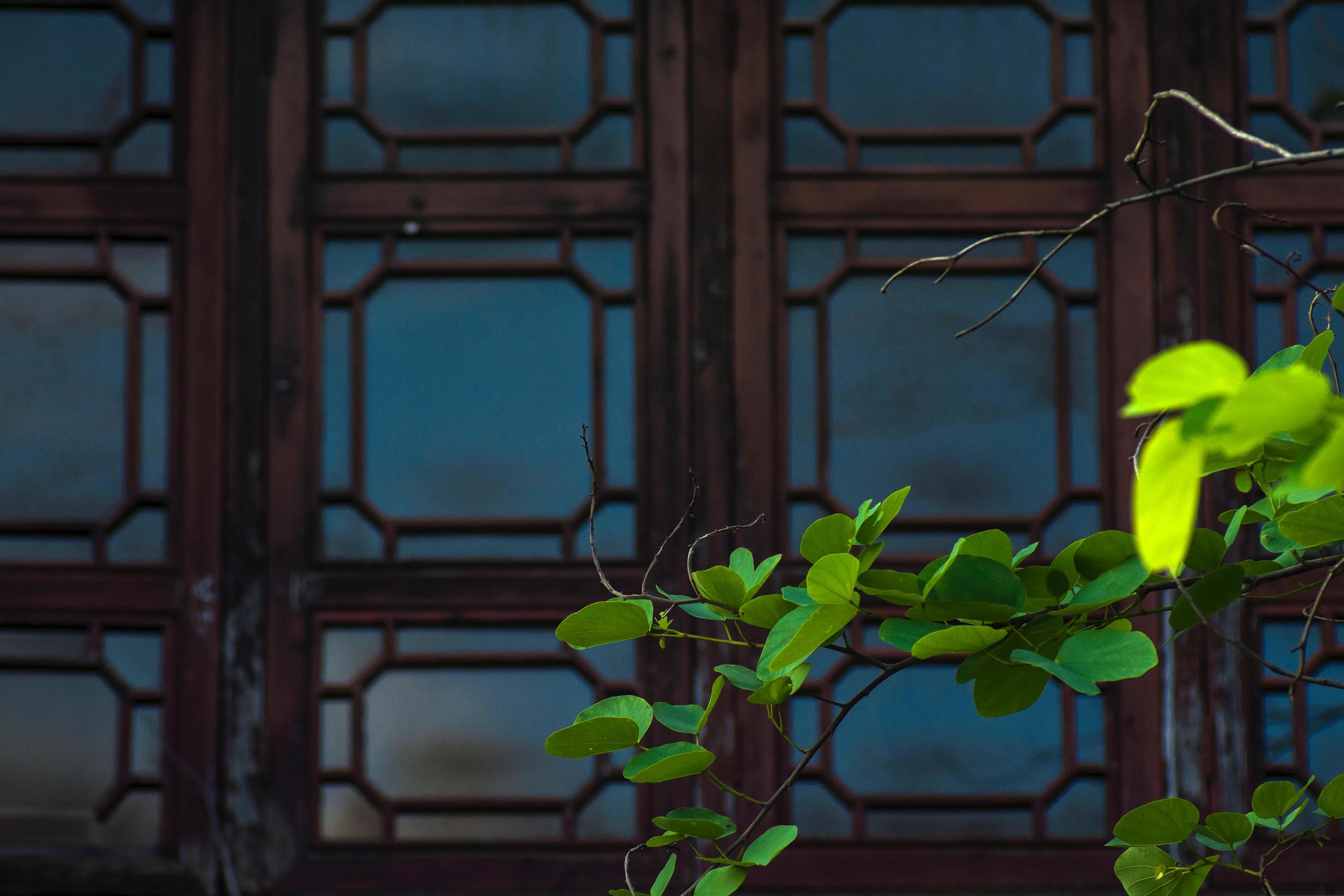 莱卡跟尼康怎么选,徕卡90mmf2.8