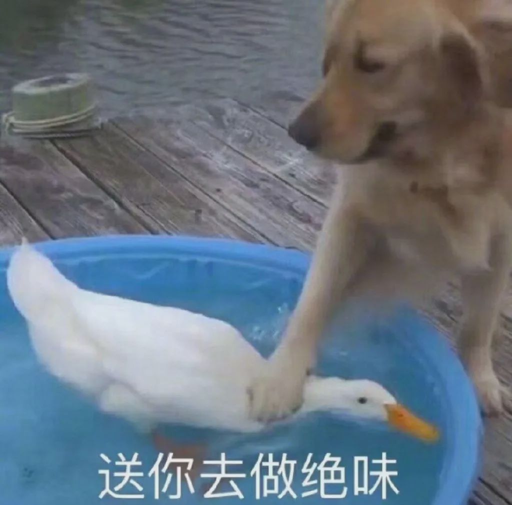 王小琴事件,王小琴后来怎么样了