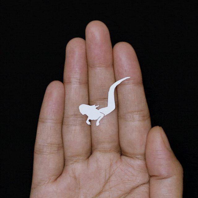 手掌画创意剪纸,手掌画剪纸三年级