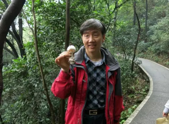 吃了毒蘑菇只会上吐下泻?这株“毁灭天使”让你成为活死人