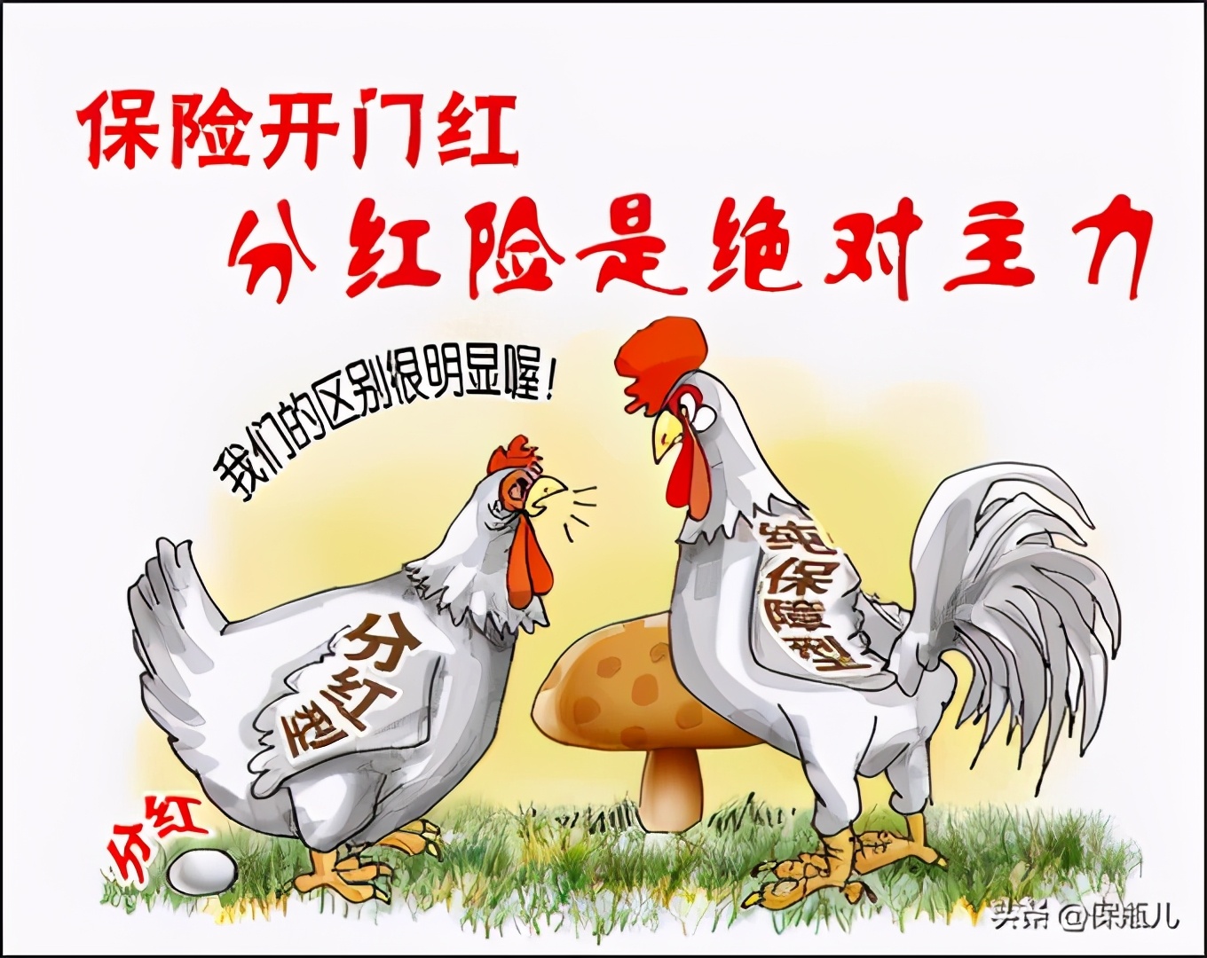 保险如何避坑分红险,为什么很多保险公司都不做分红险