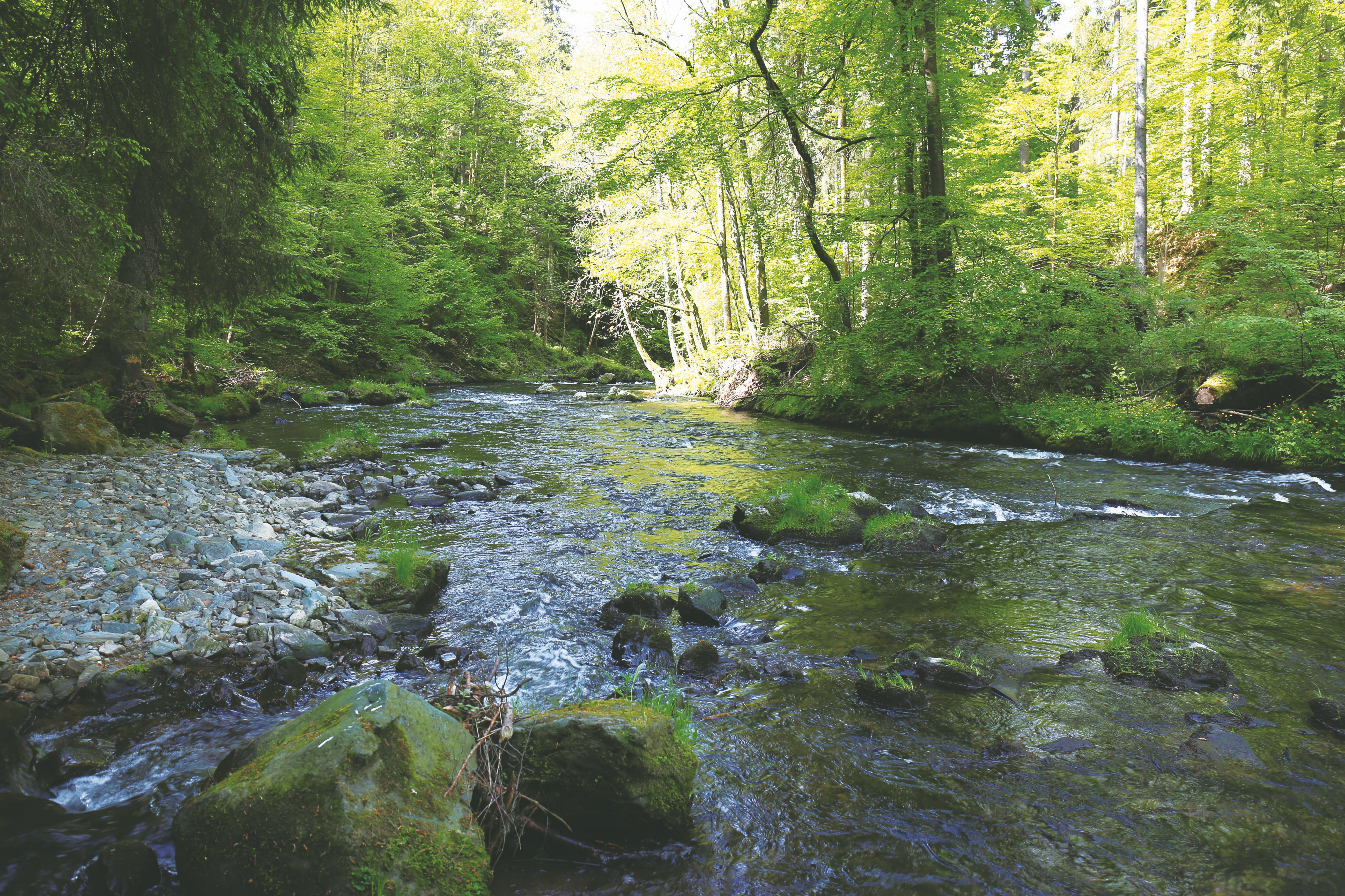 飞钓必备饵,入门飞钓装备推荐