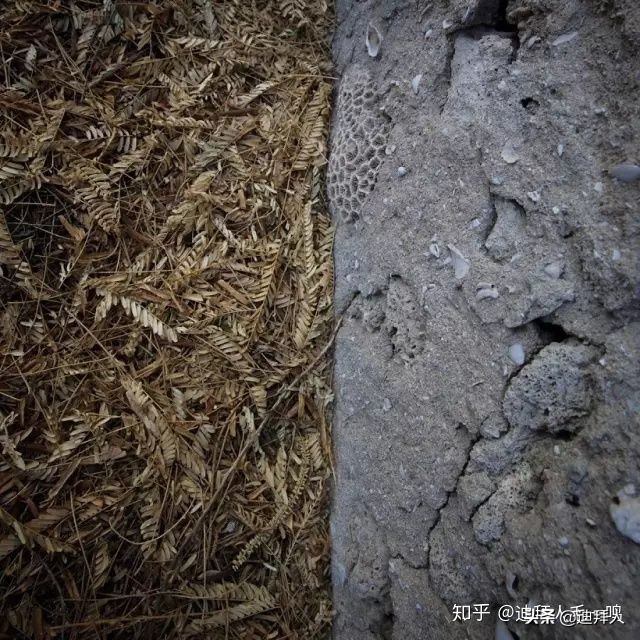 灵异阿联酋之初级篇|“*村鬼**”AlJazirahAlHamra