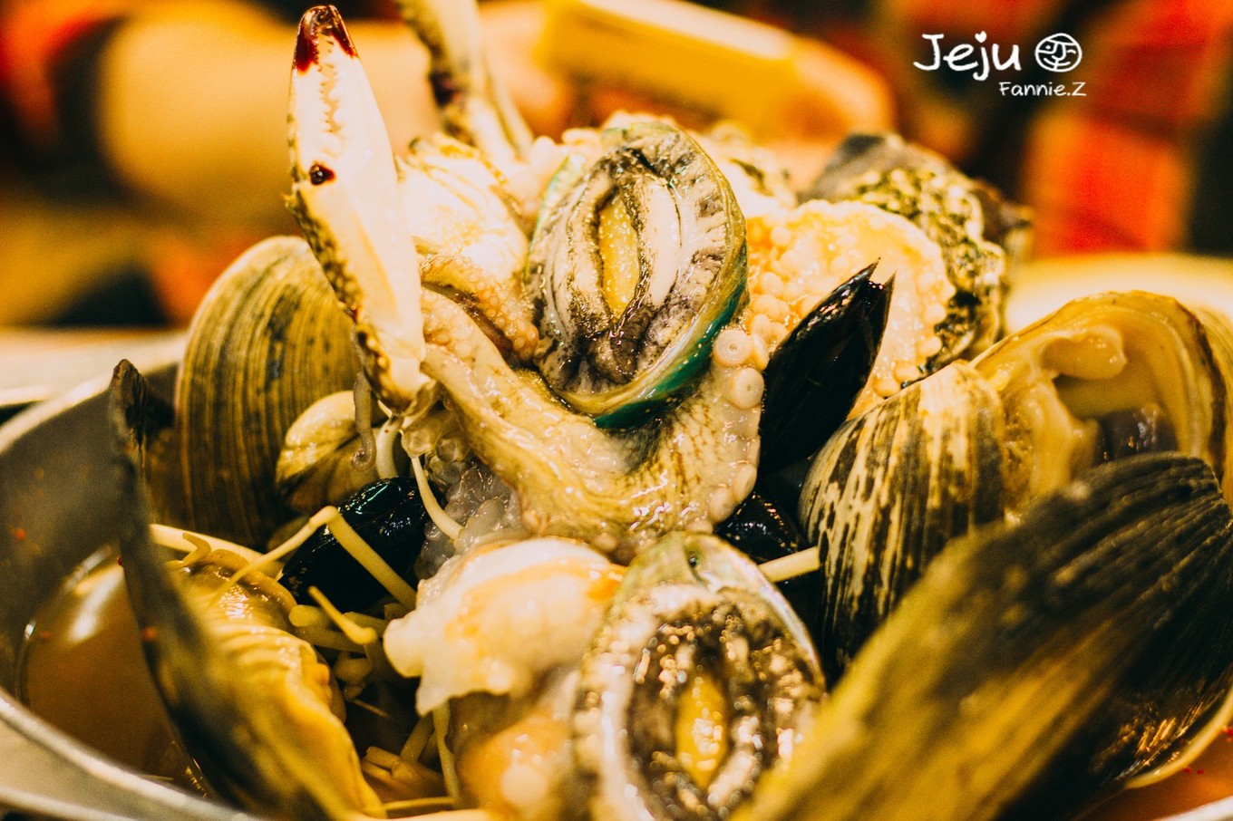 #嗨buy新罗#冬日，济州岛！想大声说遇见你有多幸运